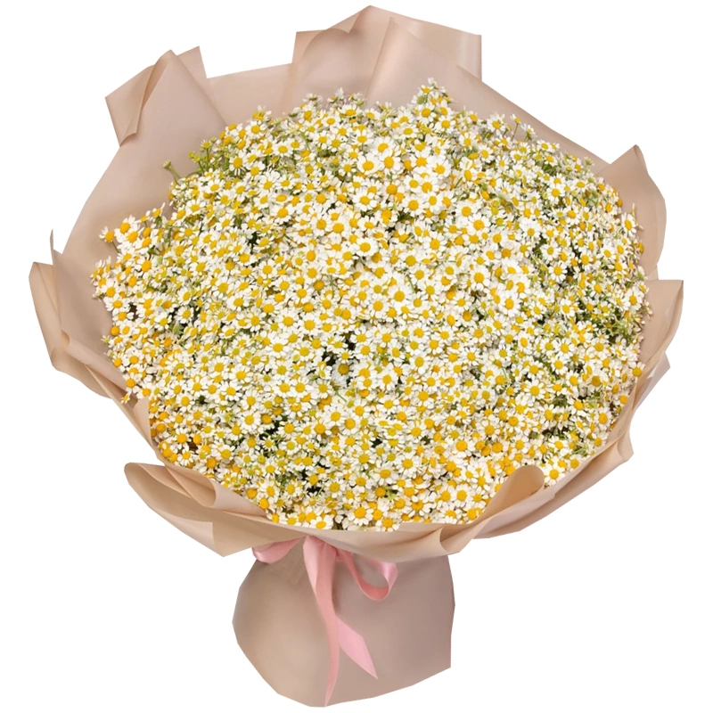 Букет из 101 кустовая ромашки