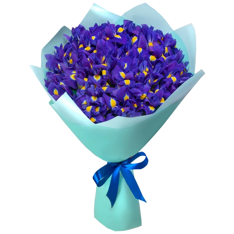 Букет из 51 синего ириса