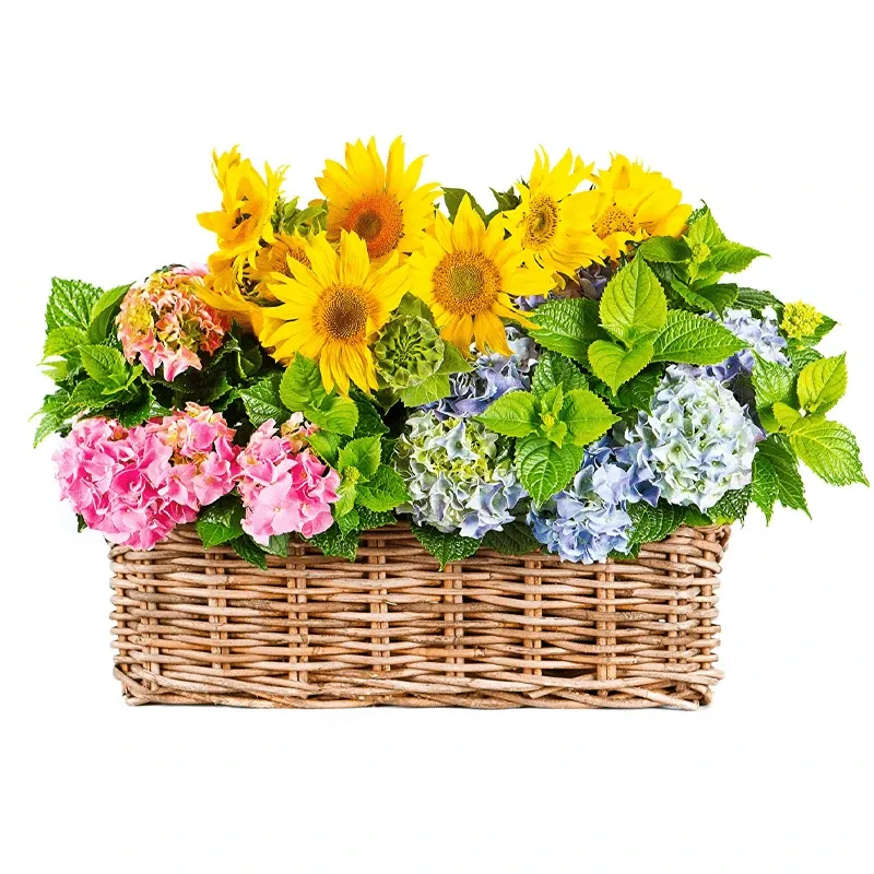 Корзина с цветами Летние лучи